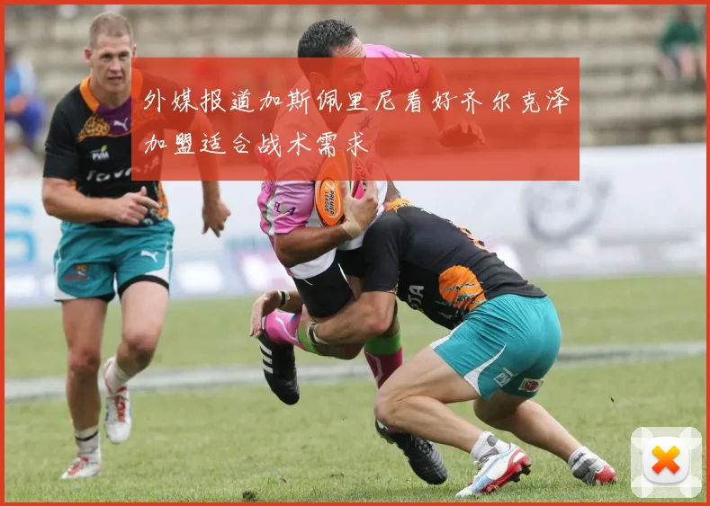 外媒报道加斯佩里尼看好齐尔克泽加盟适合战术需求