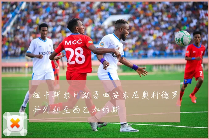 纽卡斯尔计划召回安东尼奥科德罗并外租至西乙加的斯