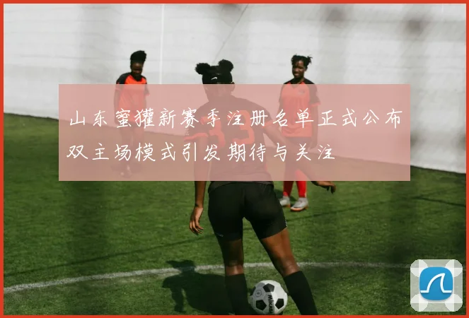 山东蜜獾新赛季注册名单正式公布双主场模式引发期待与关注