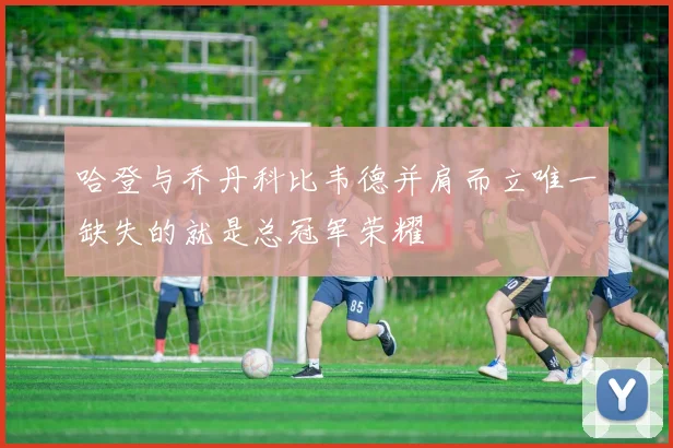 哈登与乔丹科比韦德并肩而立唯一缺失的就是总冠军荣耀